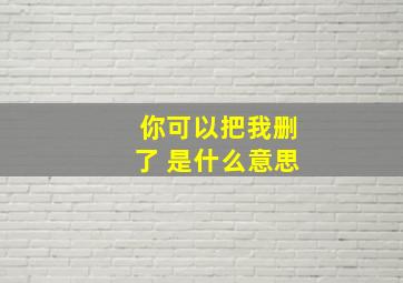 你可以把我删了 是什么意思